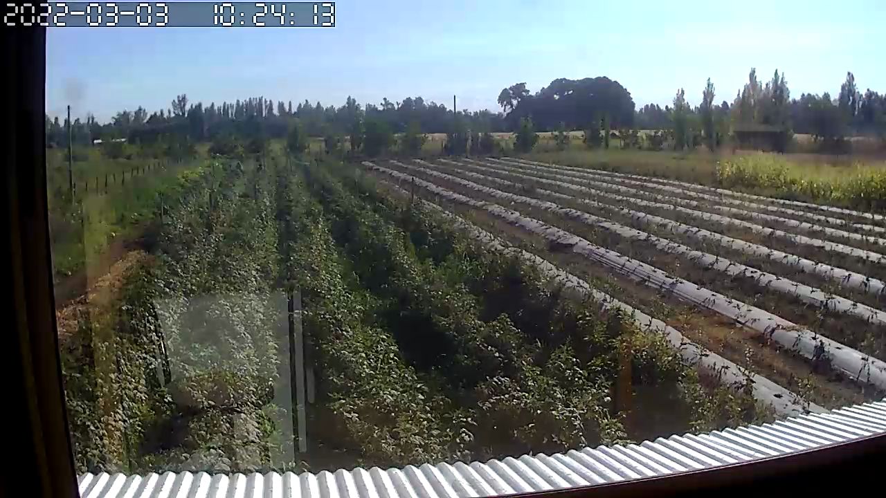 Parcela 5000mt2 Sector Las Hortensias, Parral