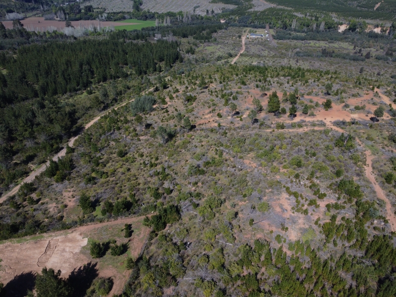 Venta de loteo en parral