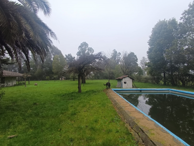 Terreno y propiedad en venta