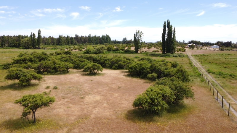 Parral Loteo, Venta