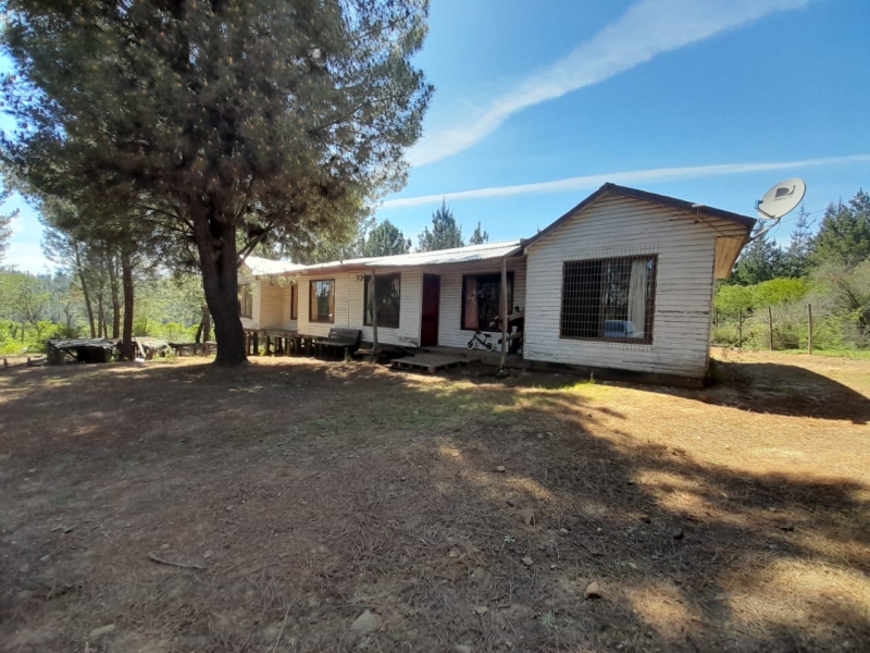 Parral Cabaña, Venta
